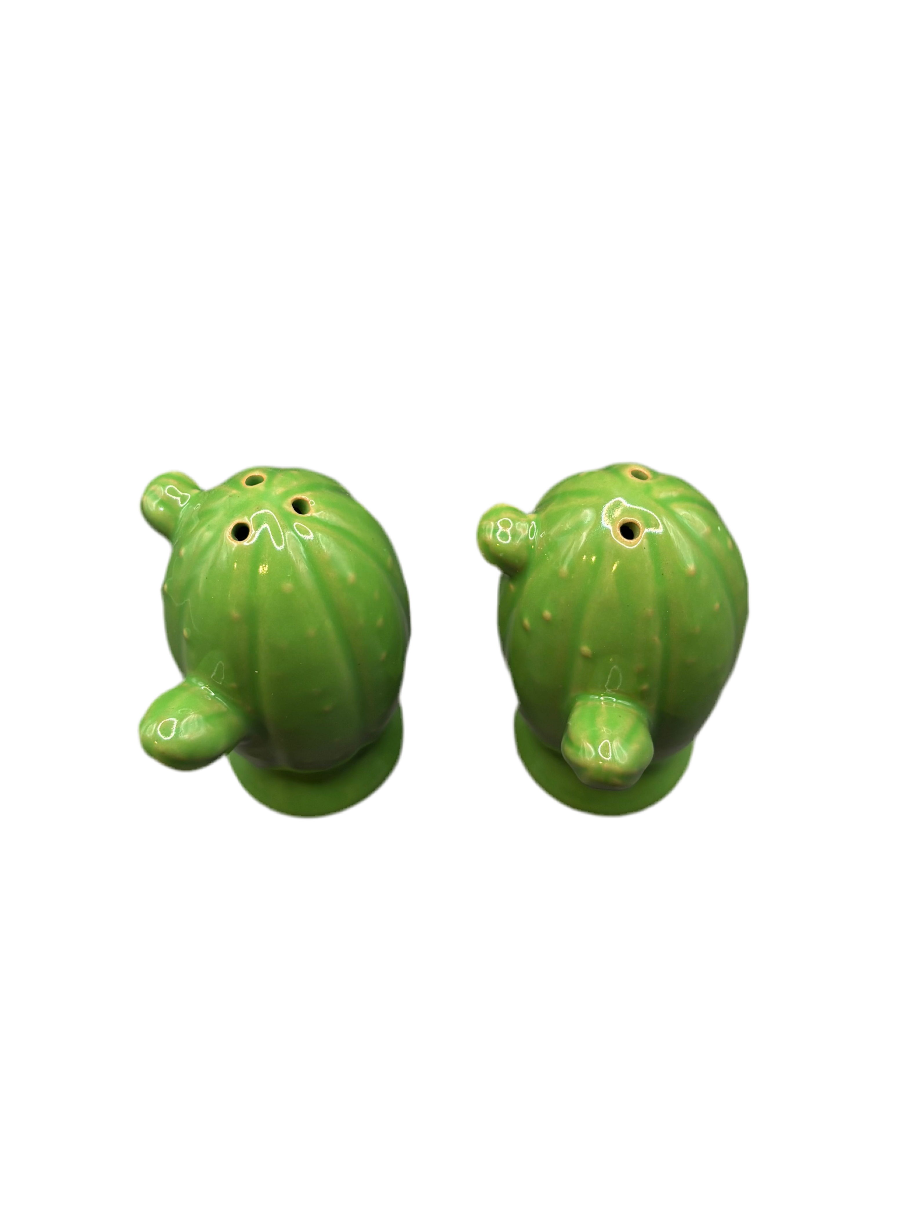 Cactus Salt and Pepper Shaker Set