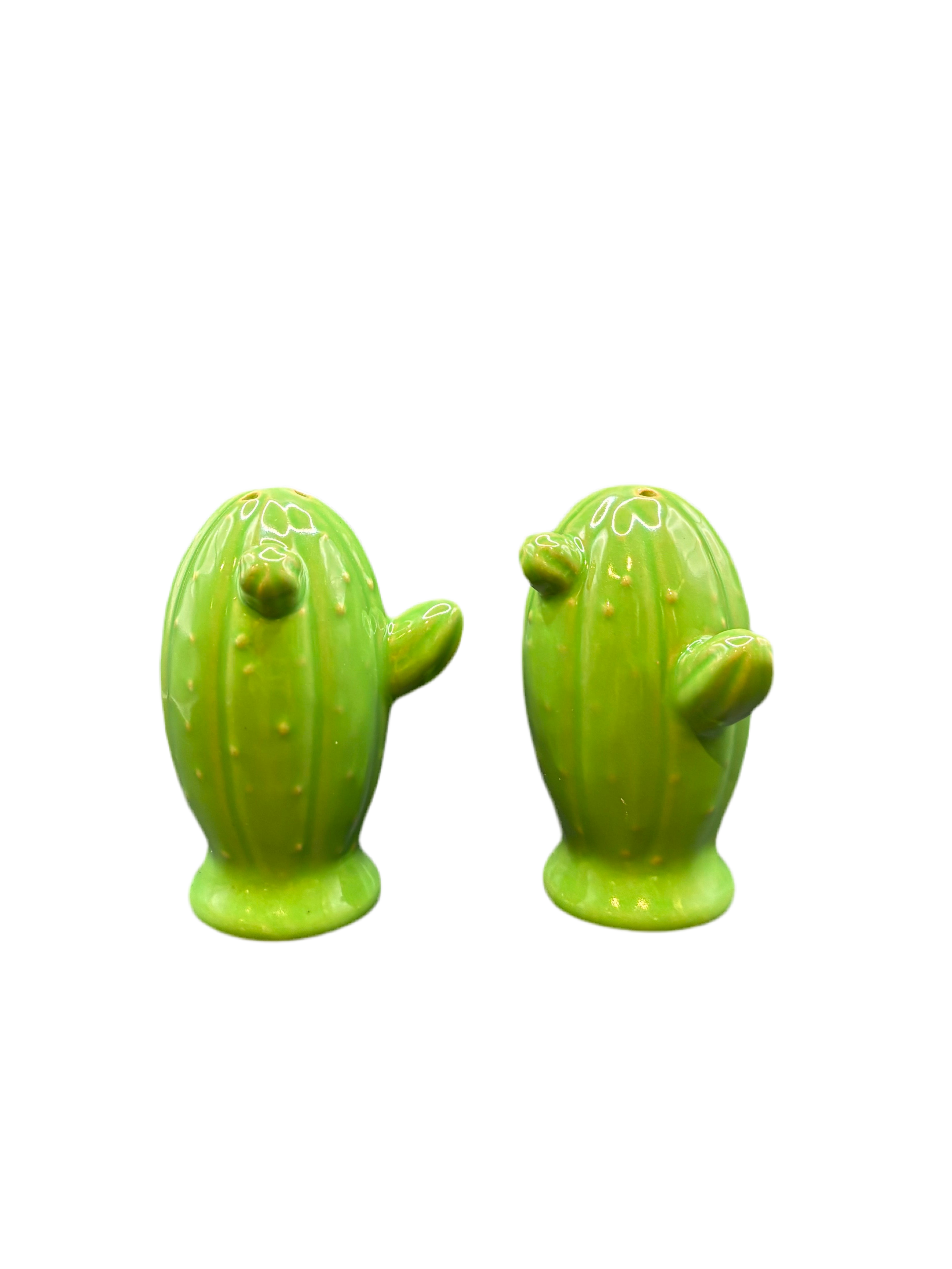 Cactus Salt and Pepper Shaker Set