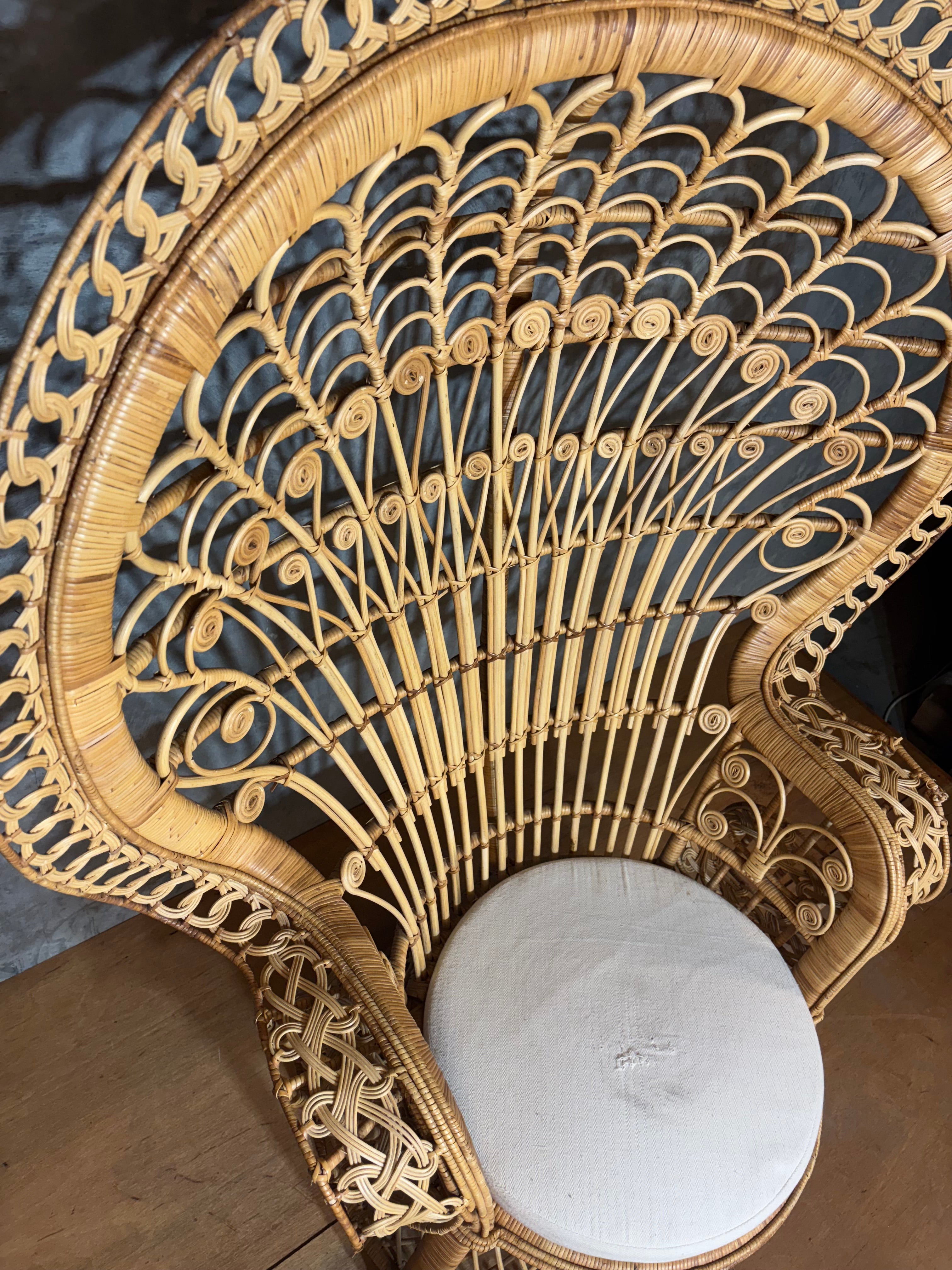 Rattan Peacock Chair