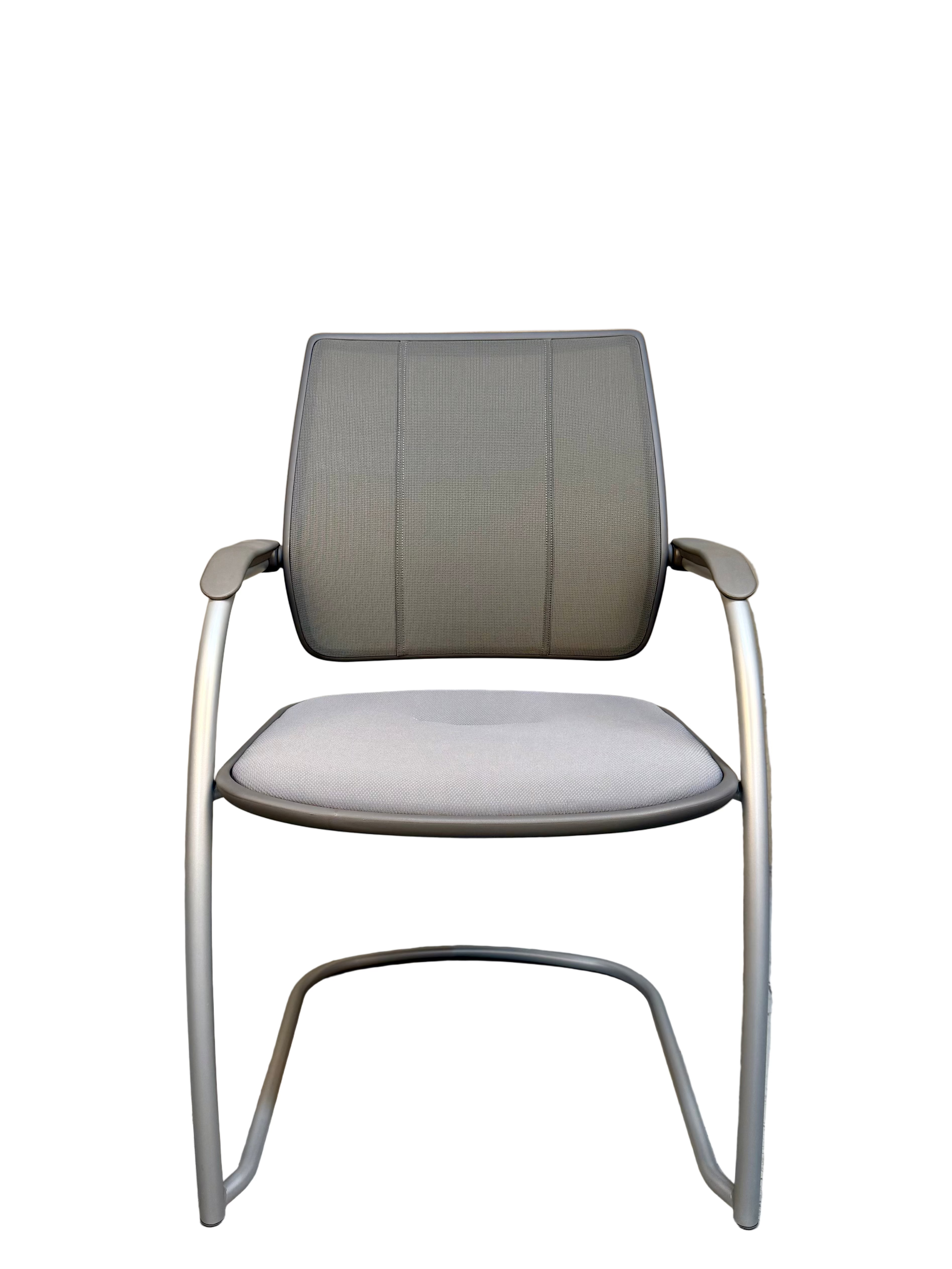 Humanscale Diffrient World Occasional Chair by Niels Diffrient