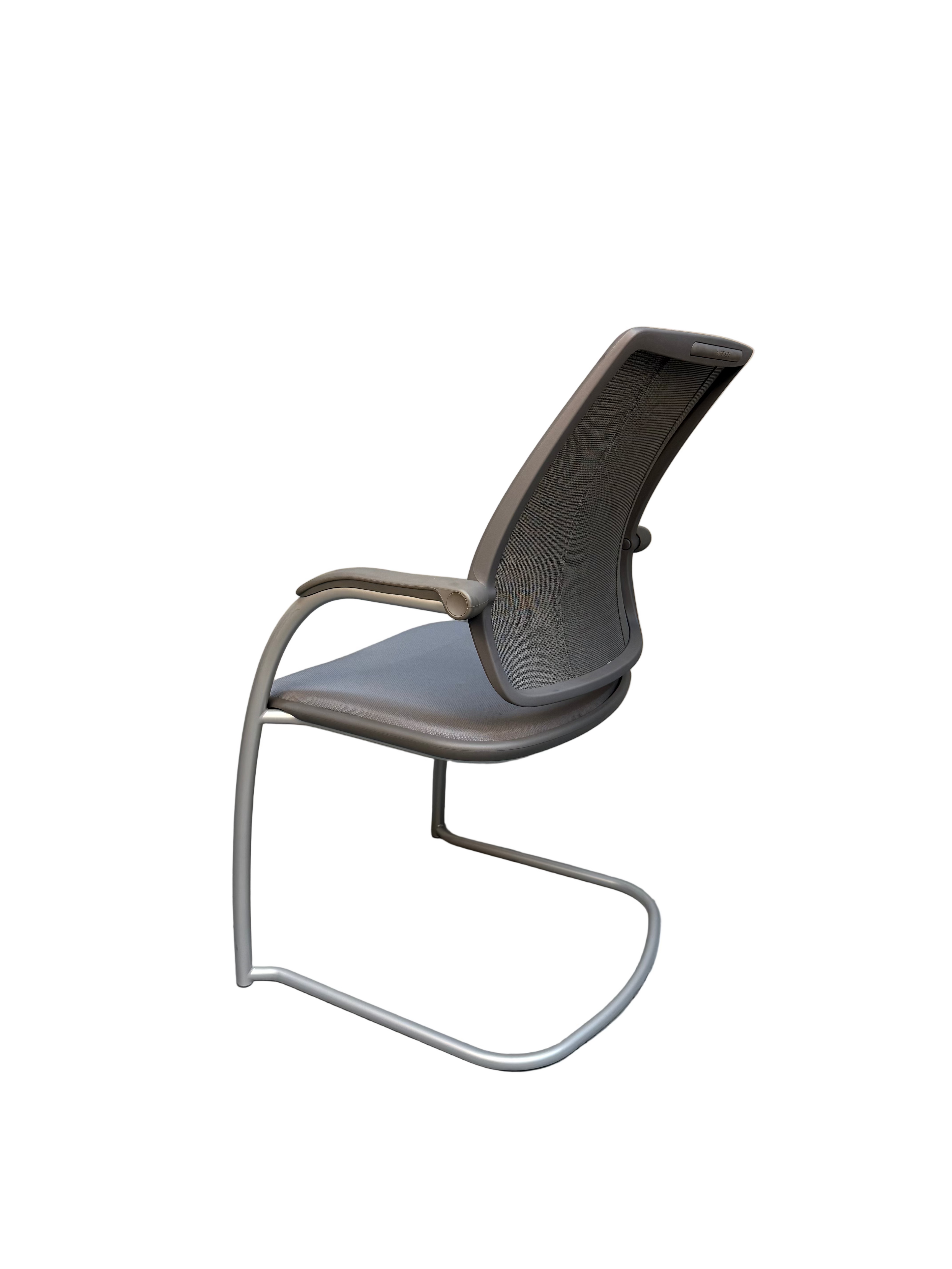 Humanscale Diffrient World Occasional Chair by Niels Diffrient