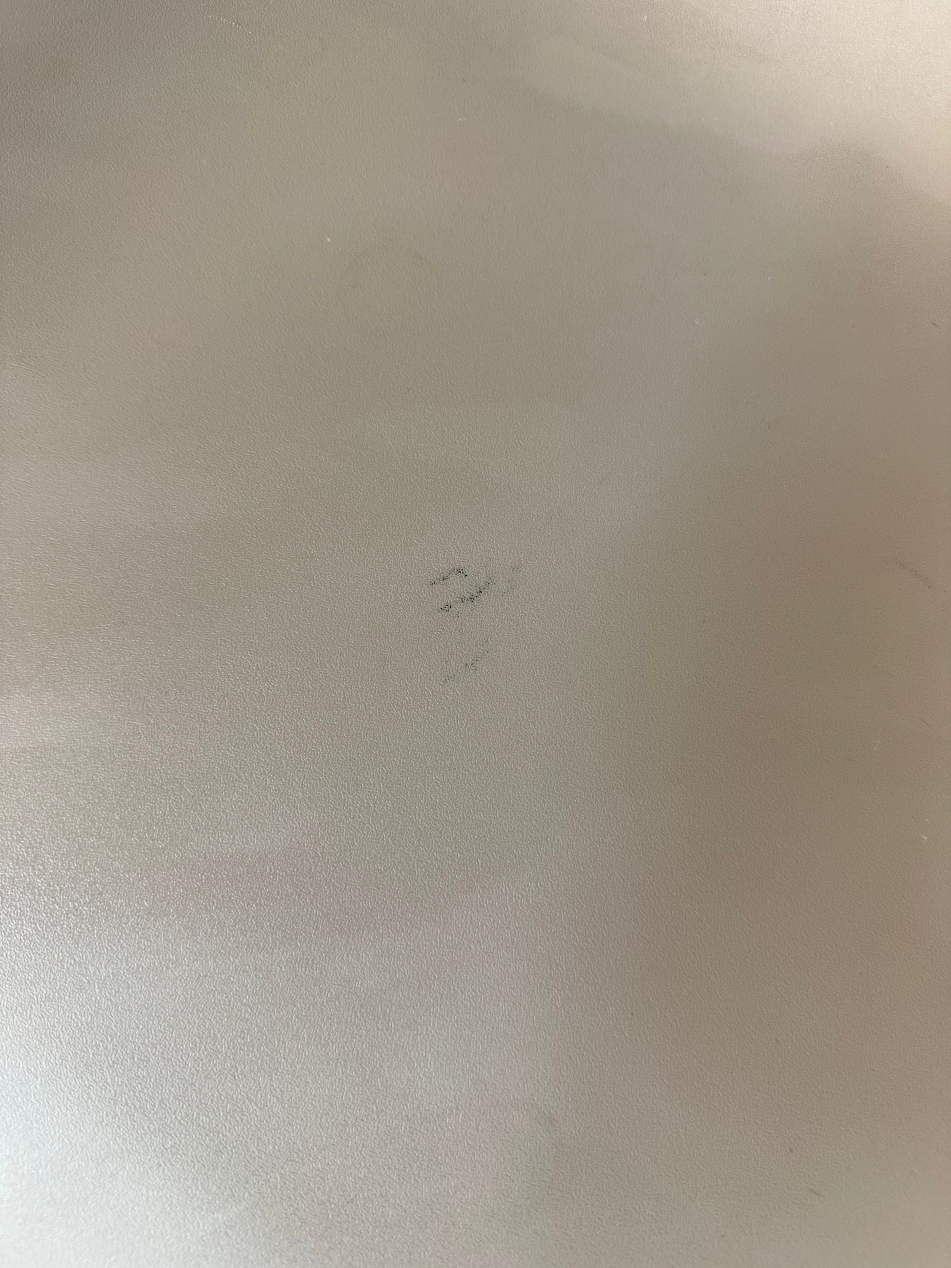 Jac Sled Chair - Zenith Schamburg + Alvisse