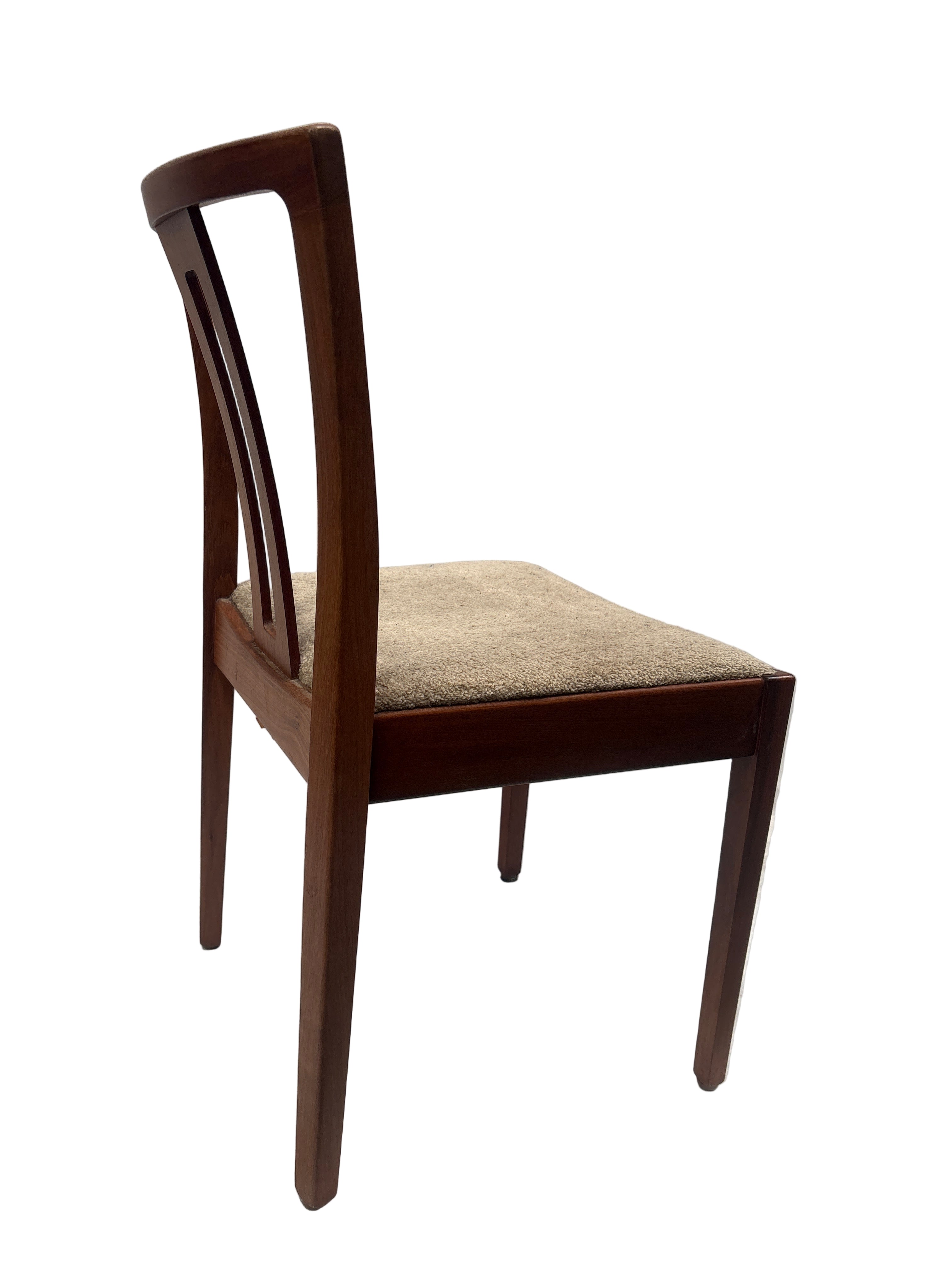 Mid Century Catt Dining Chair