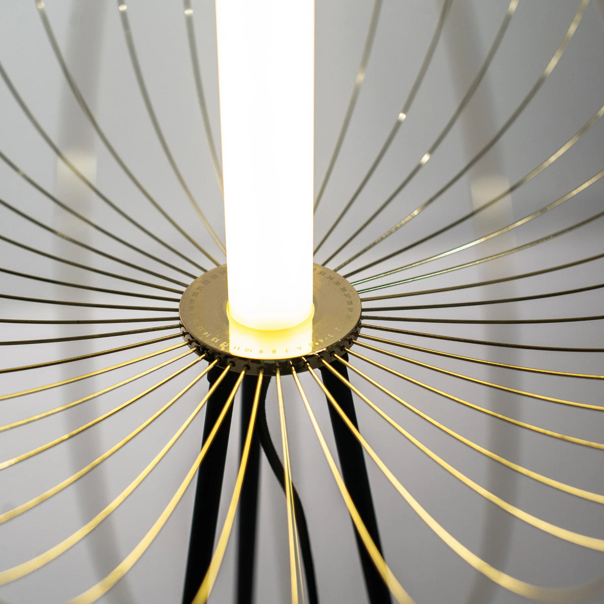 Jaula LED Floor Lamp With Steel Shade