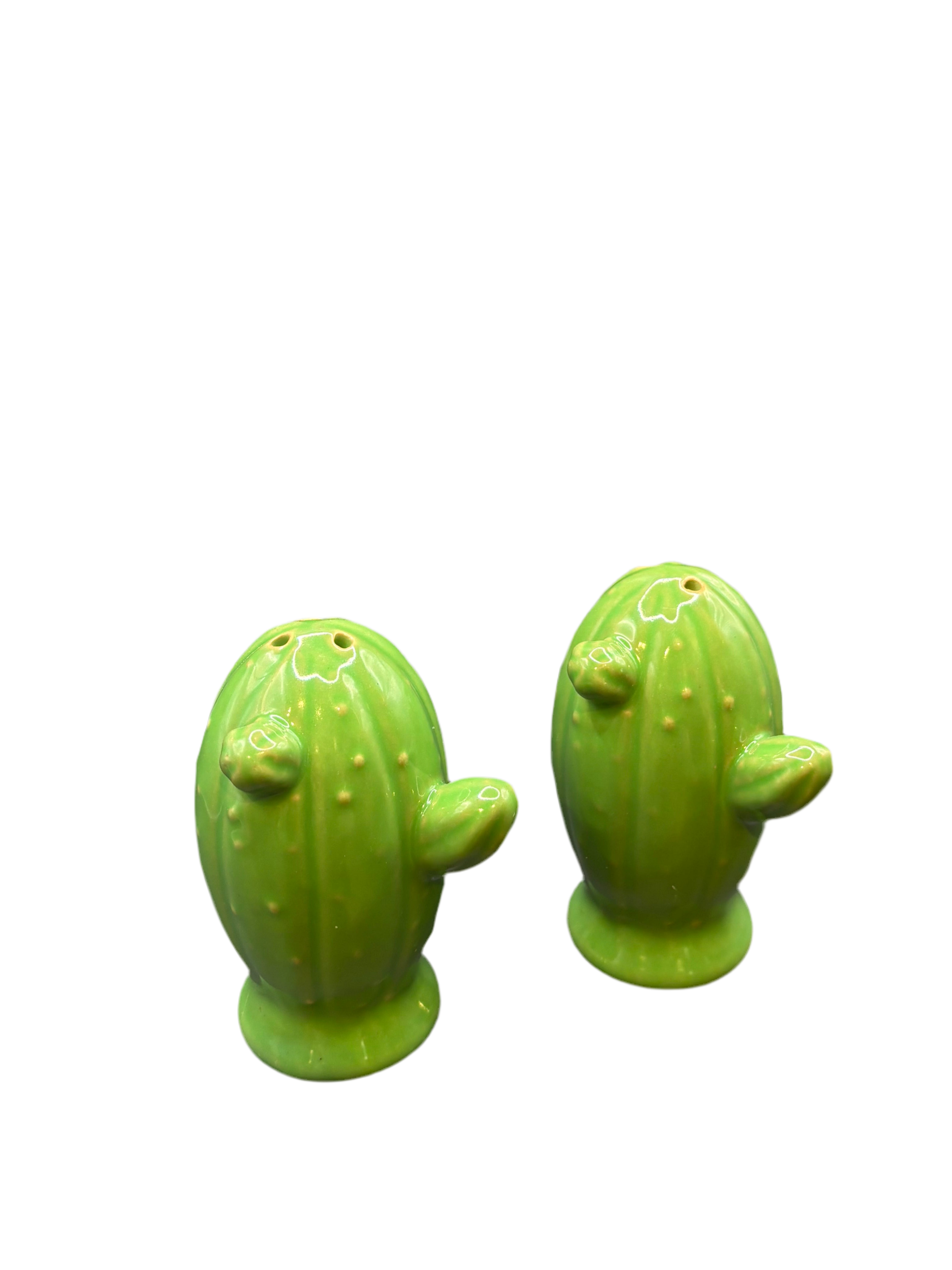Cactus Salt and Pepper Shaker Set