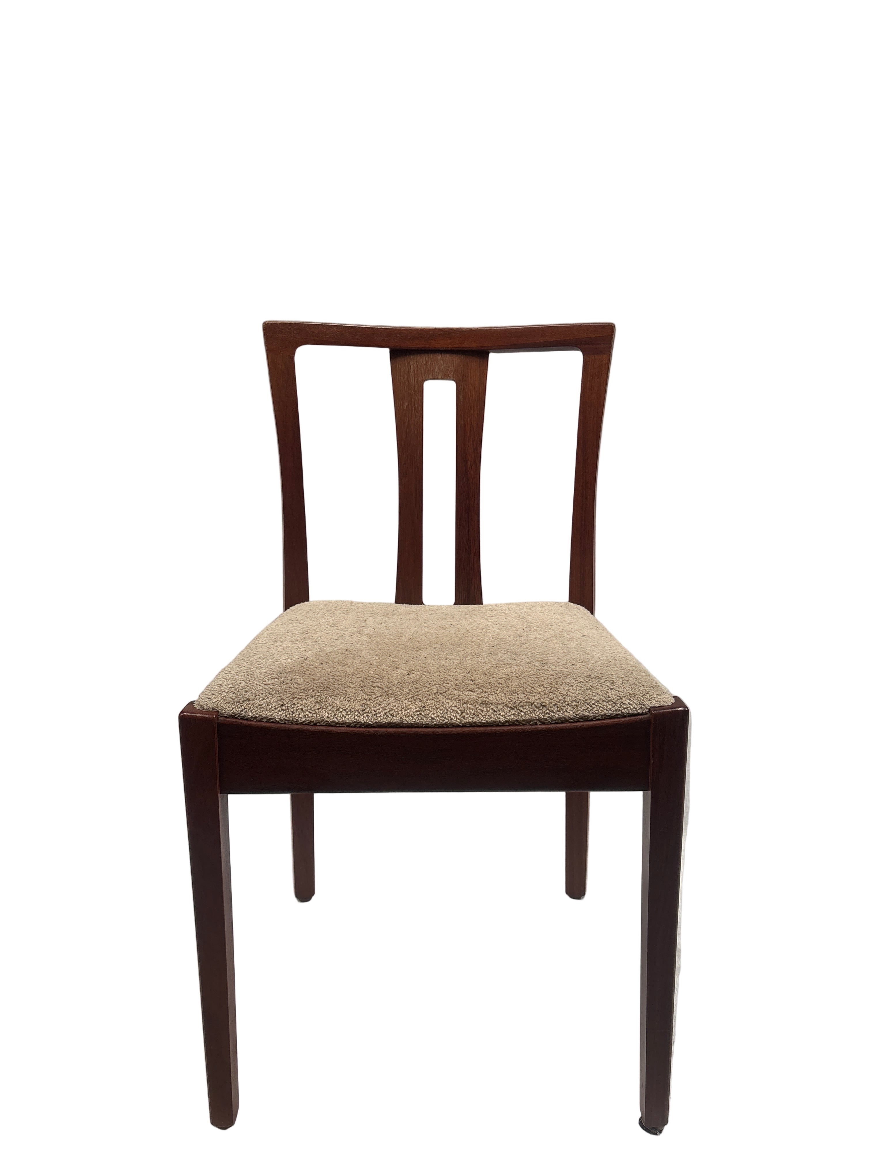 Mid Century Catt Dining Chair