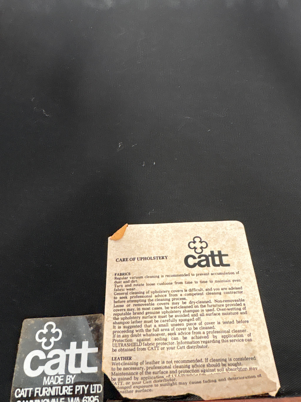 Mid Century Catt Dining Chair