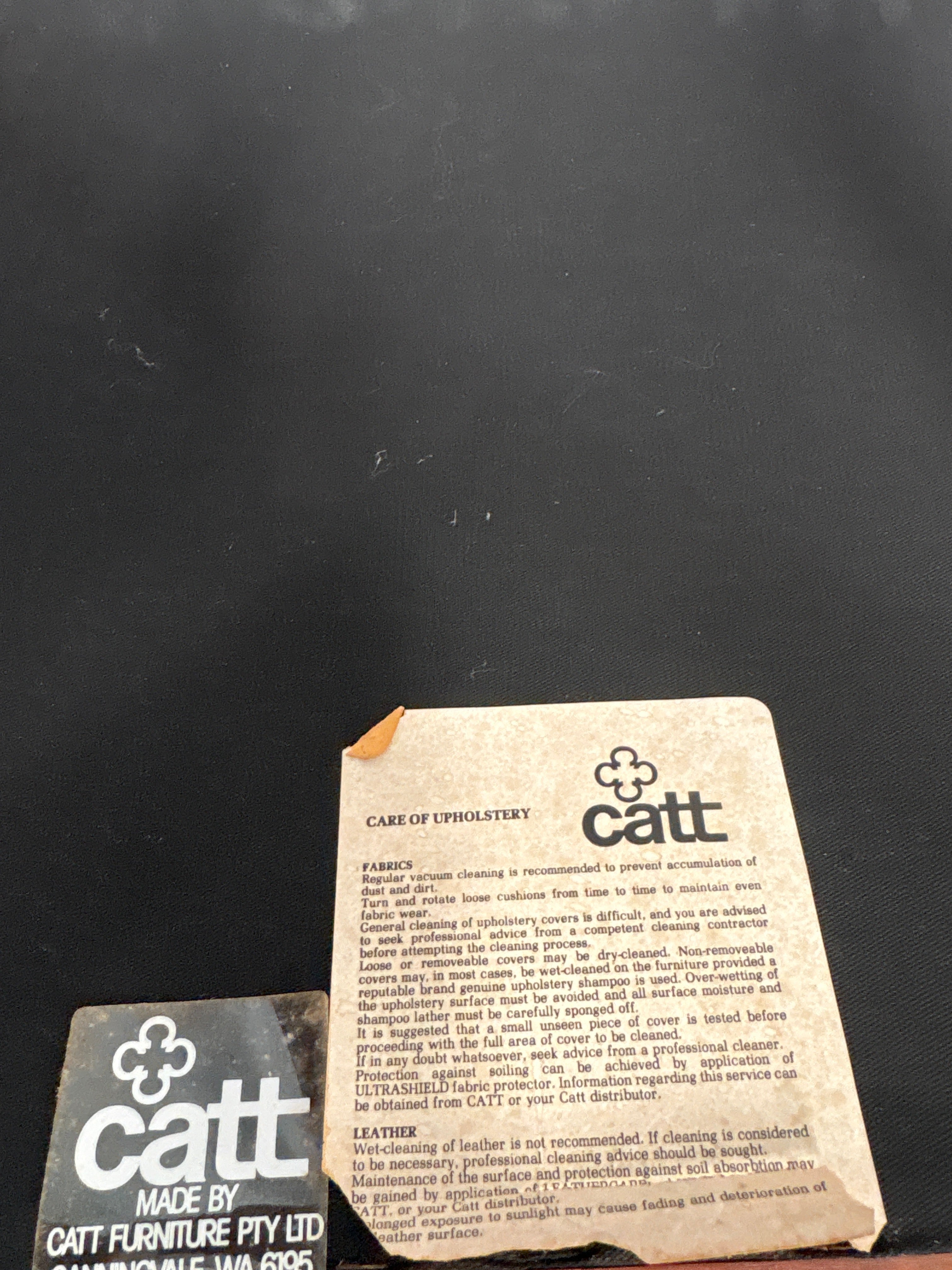 Mid Century Catt Dining Chair