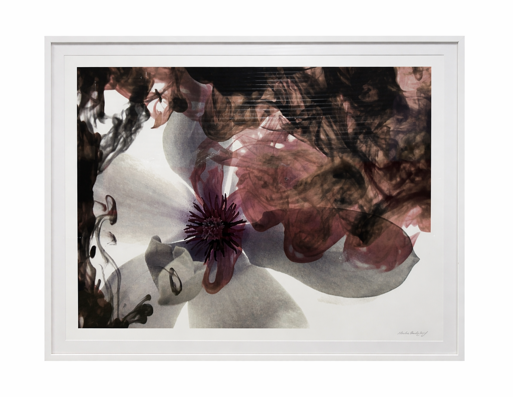 Contemporary Botanical – Floral and Ink