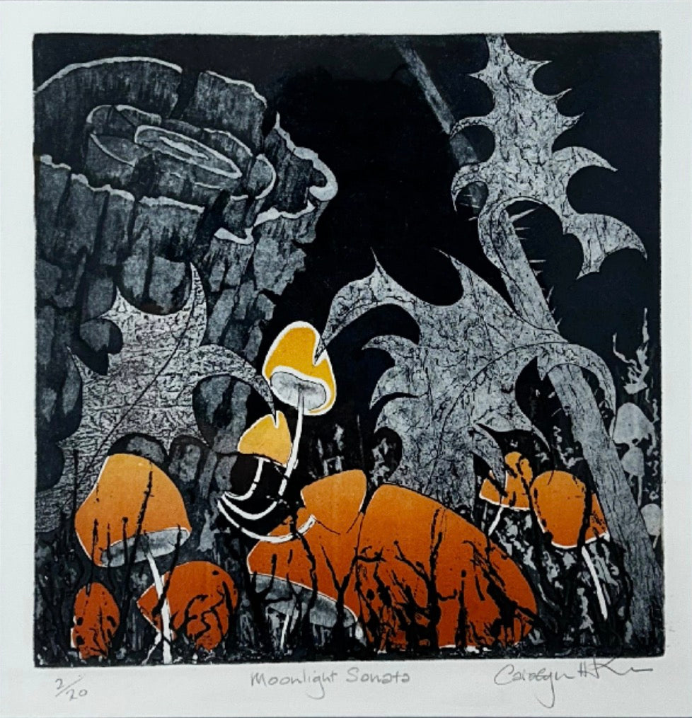 Moonlight Sonata by Carolyn Hunter