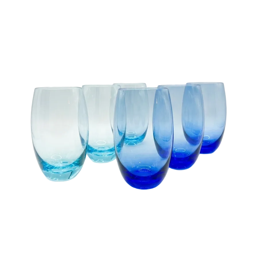 Set of 6 Dibbern Tumblers Robert Burton
