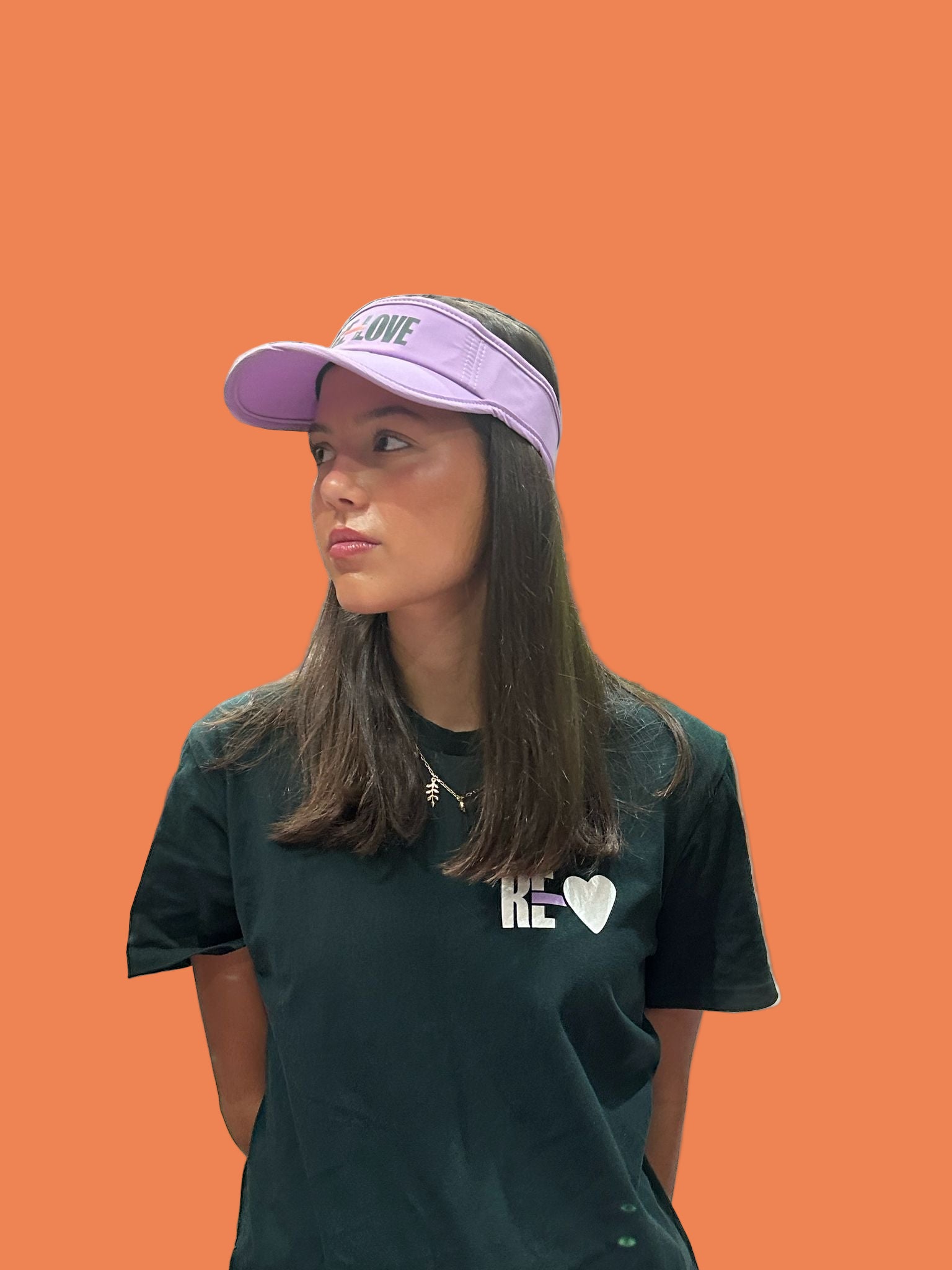 Sun Visor