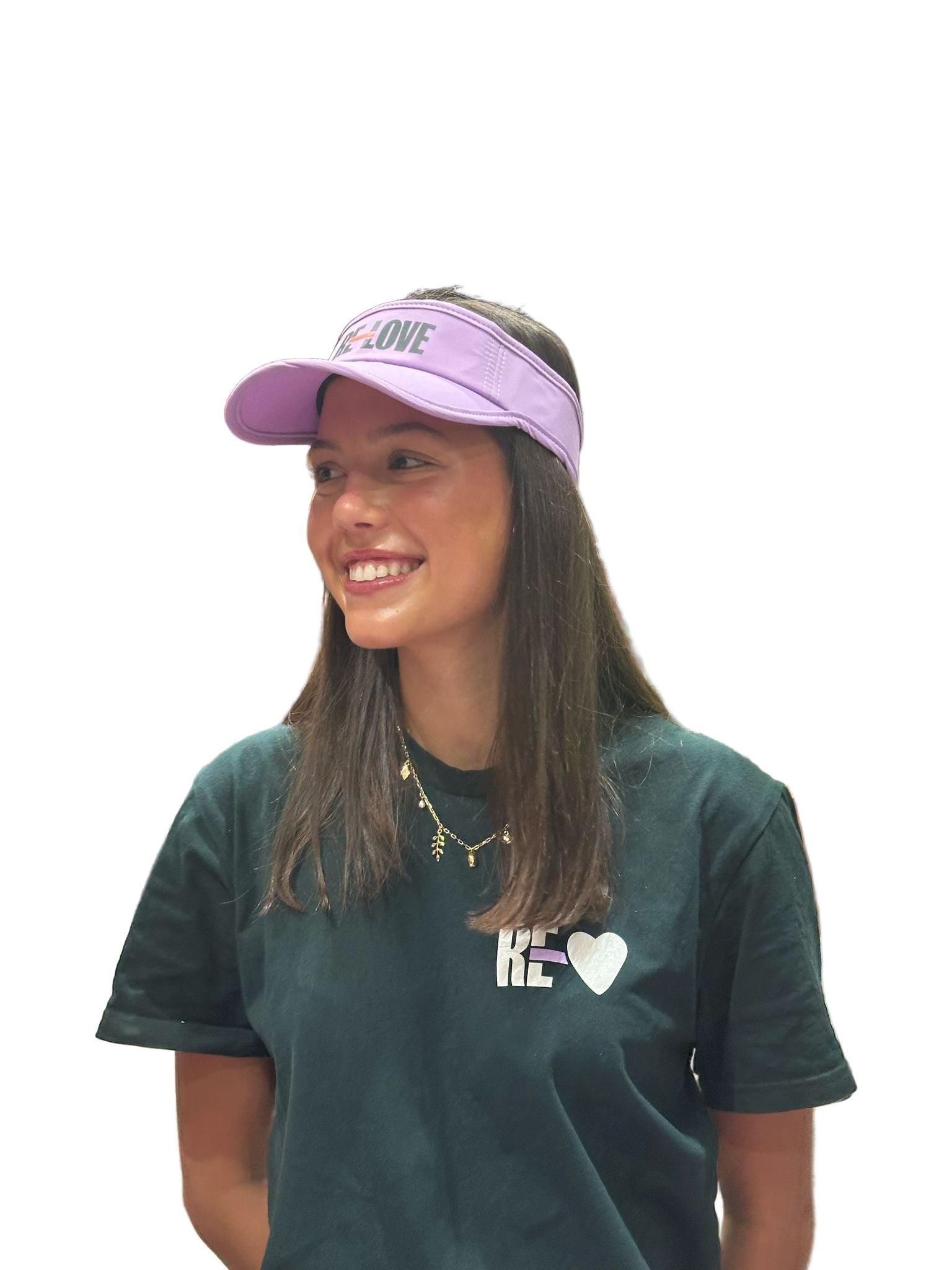 Sun Visor
