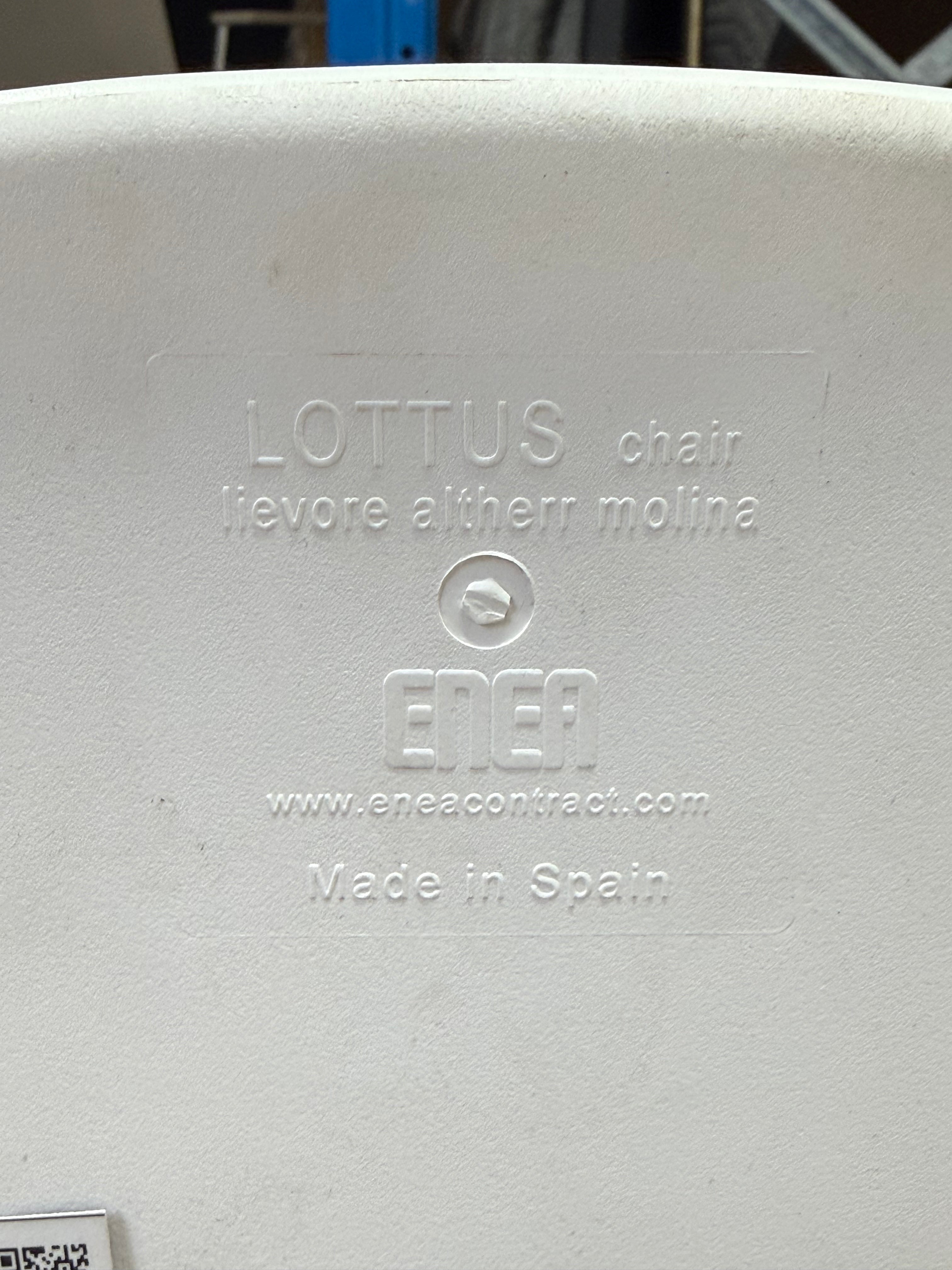 Lottus White Dining Chair by Lievore Alther Mollina