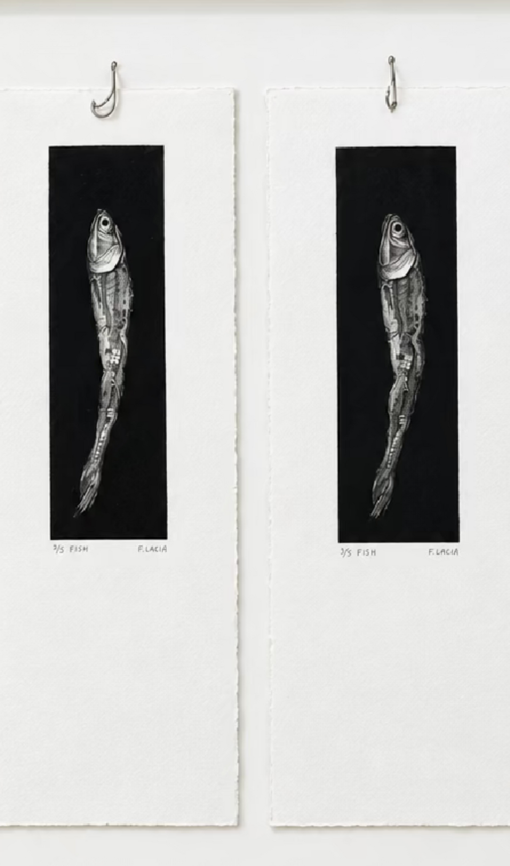 Fish by Flora
