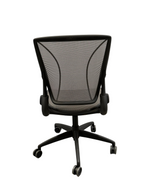 Humanscale Diffrient World Office Chair