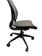 Humanscale Diffrient World Office Chair
