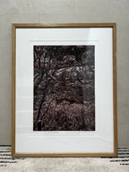 Autumn Days by Janine Debenham (Linocut Chine collé)
