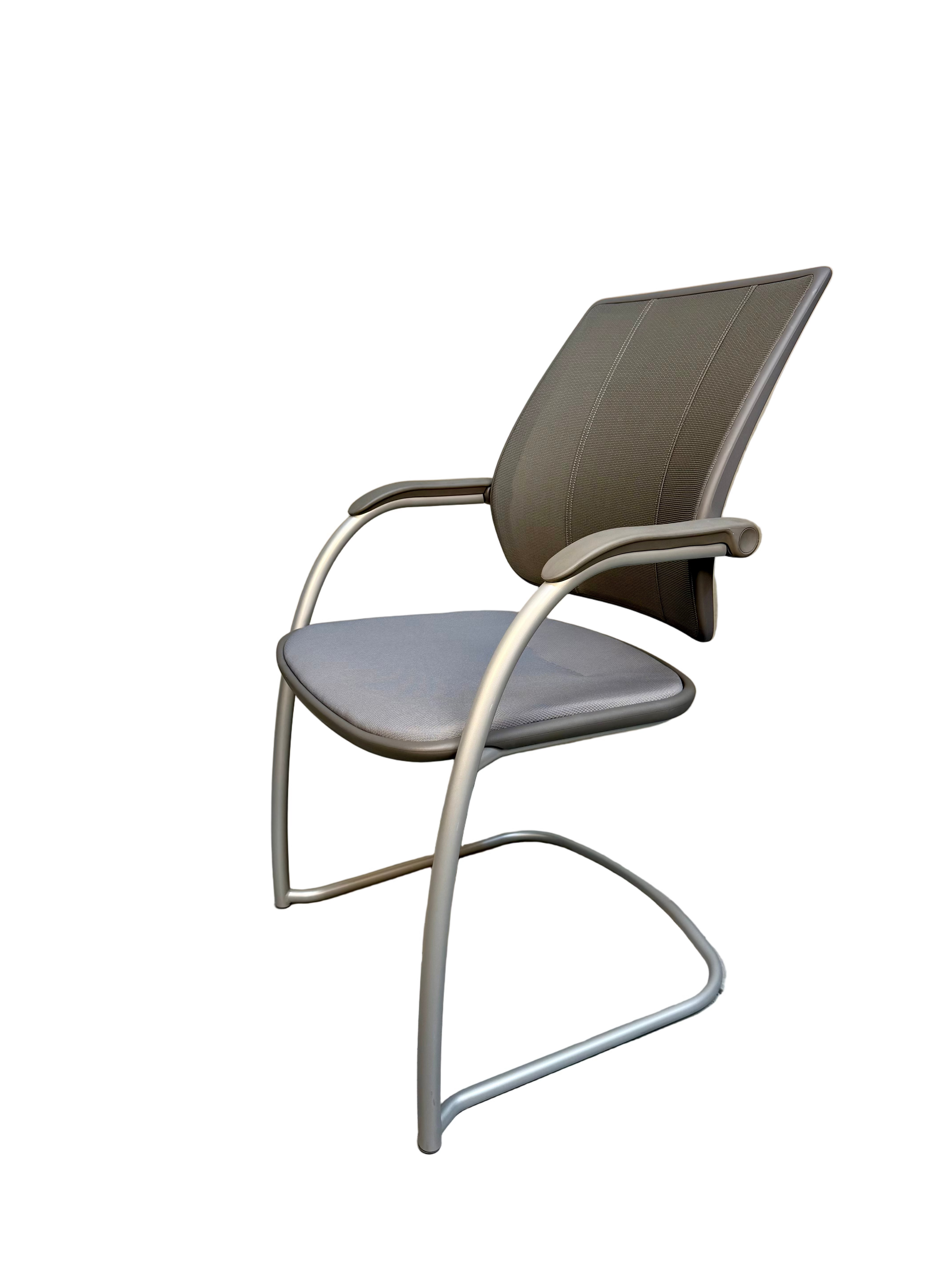 Humanscale Diffrient World Occasional Chair by Niels Diffrient