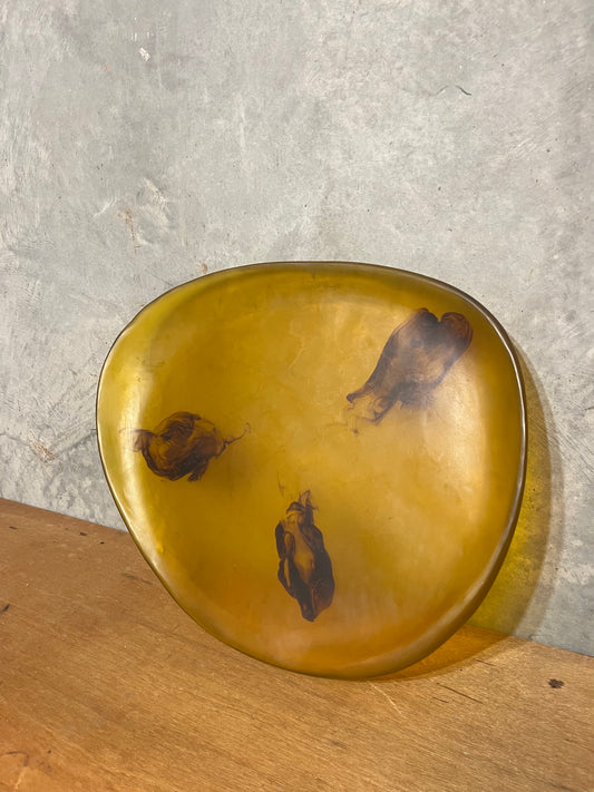 Dinosaur Designs Resin Platter