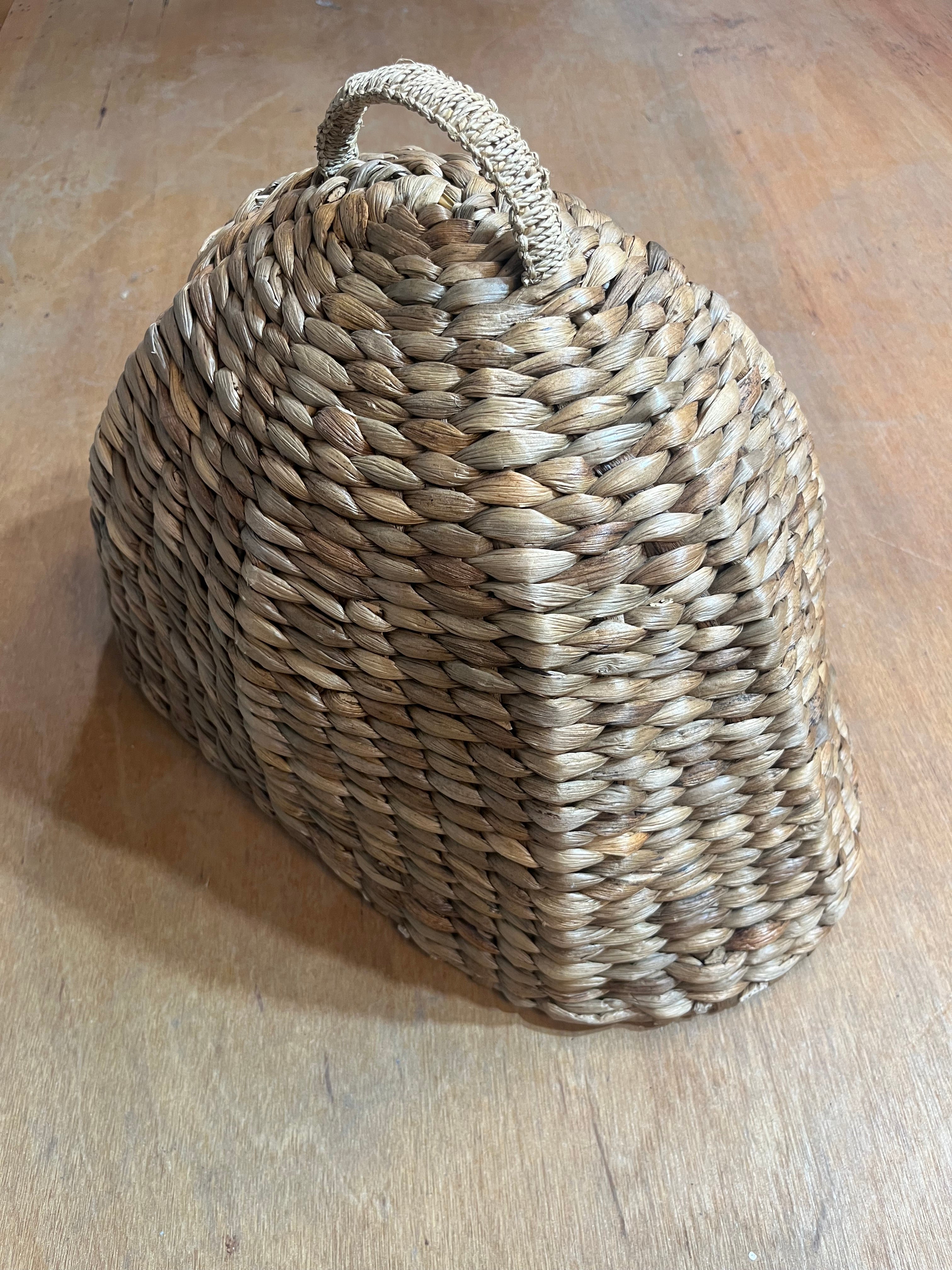 Rattan Cloche