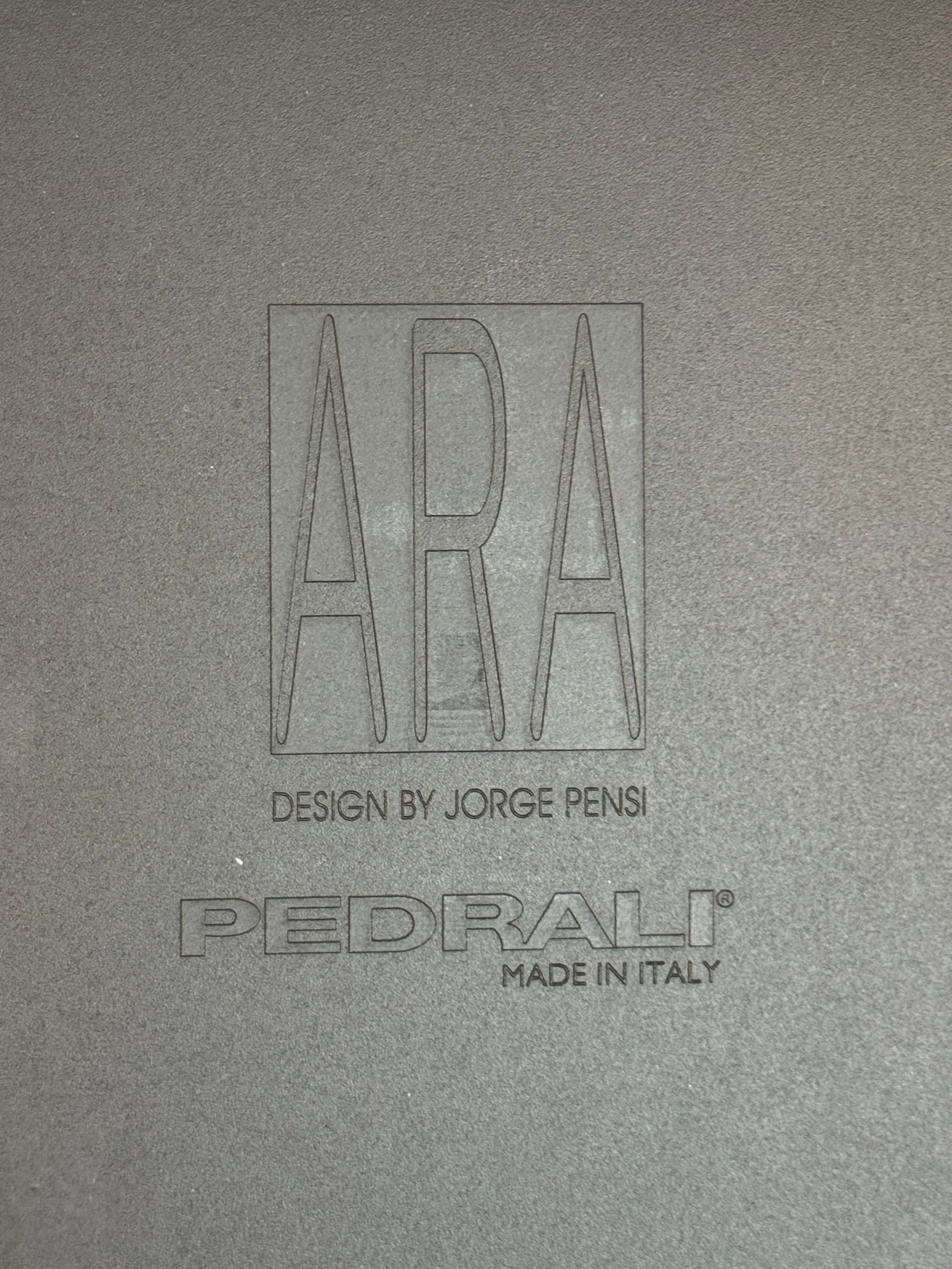 Ara 310 chair by Pedrali