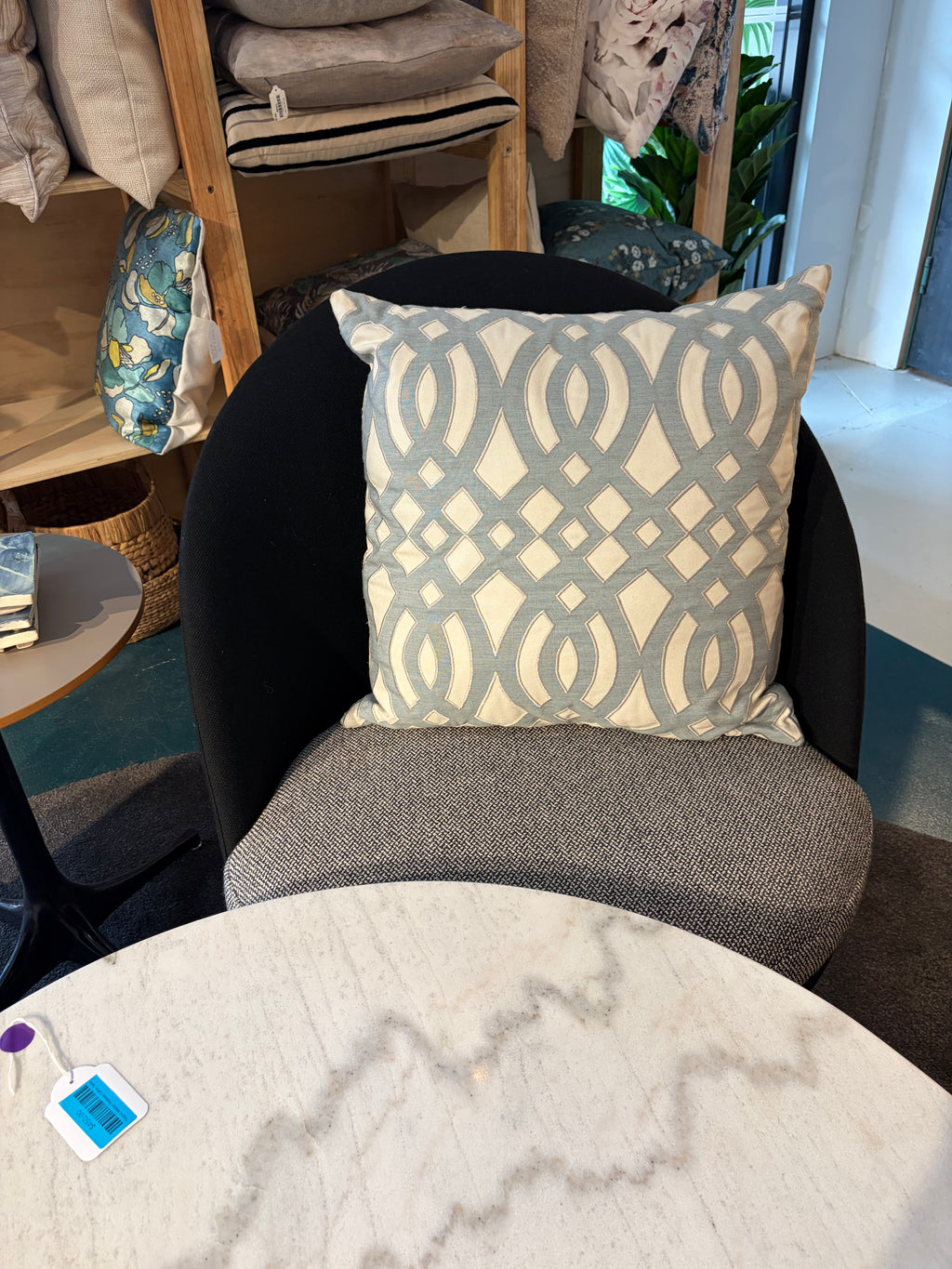 Blue Duck Egg Trellis Design Throw Cushion