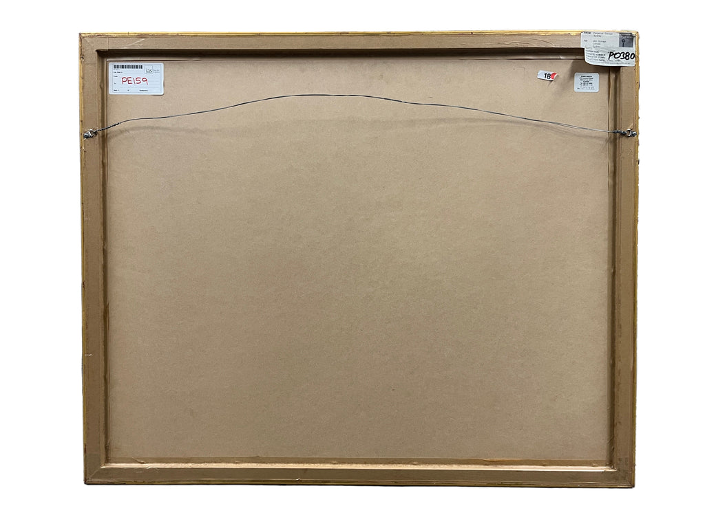 Australian Museum Sydney by Simon Fieldhouse - Framed Art Print