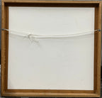 Cat amongst the pigeons II - Signed Framed Print