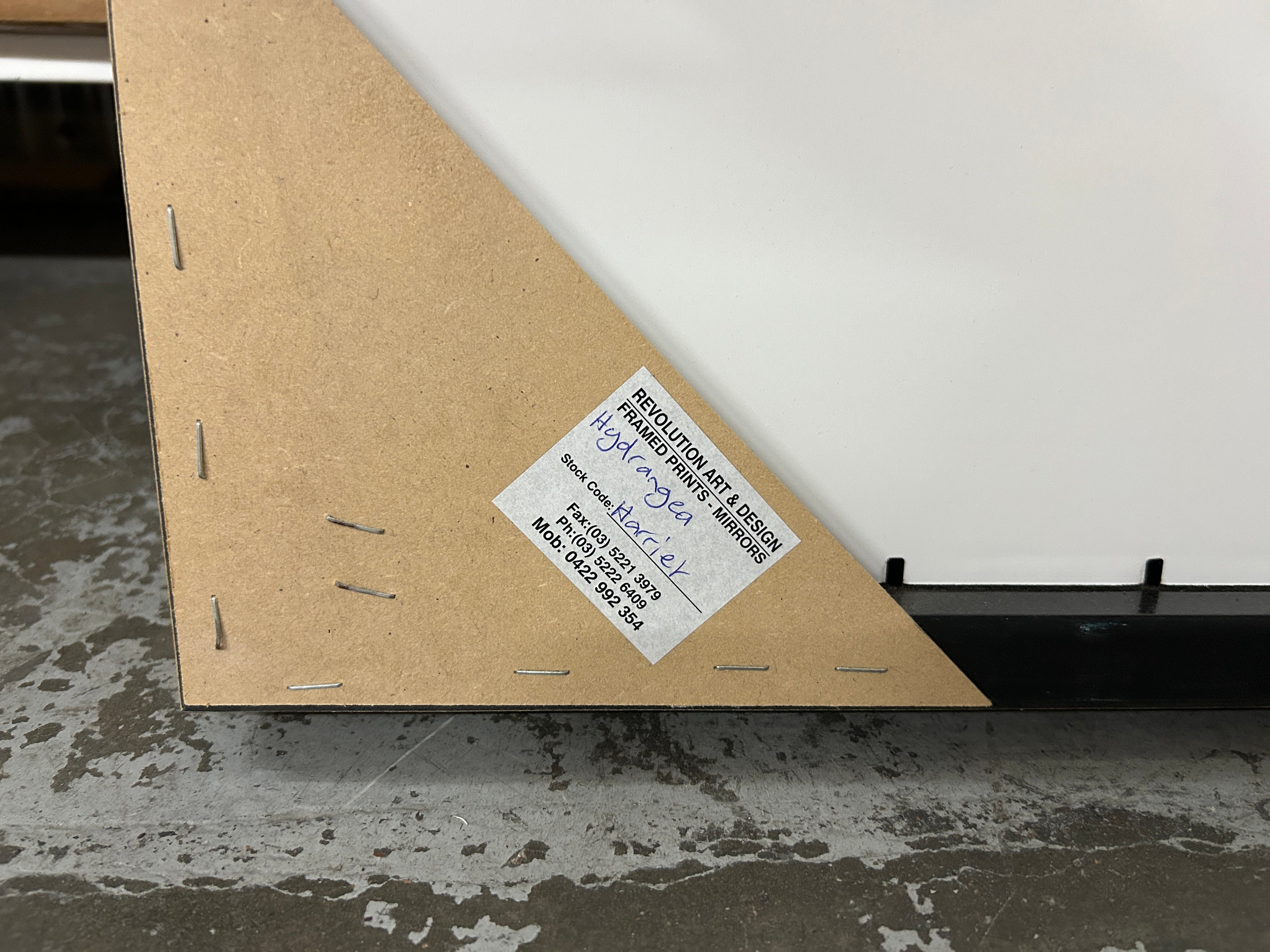 Hydrangea Harriet Framed Print