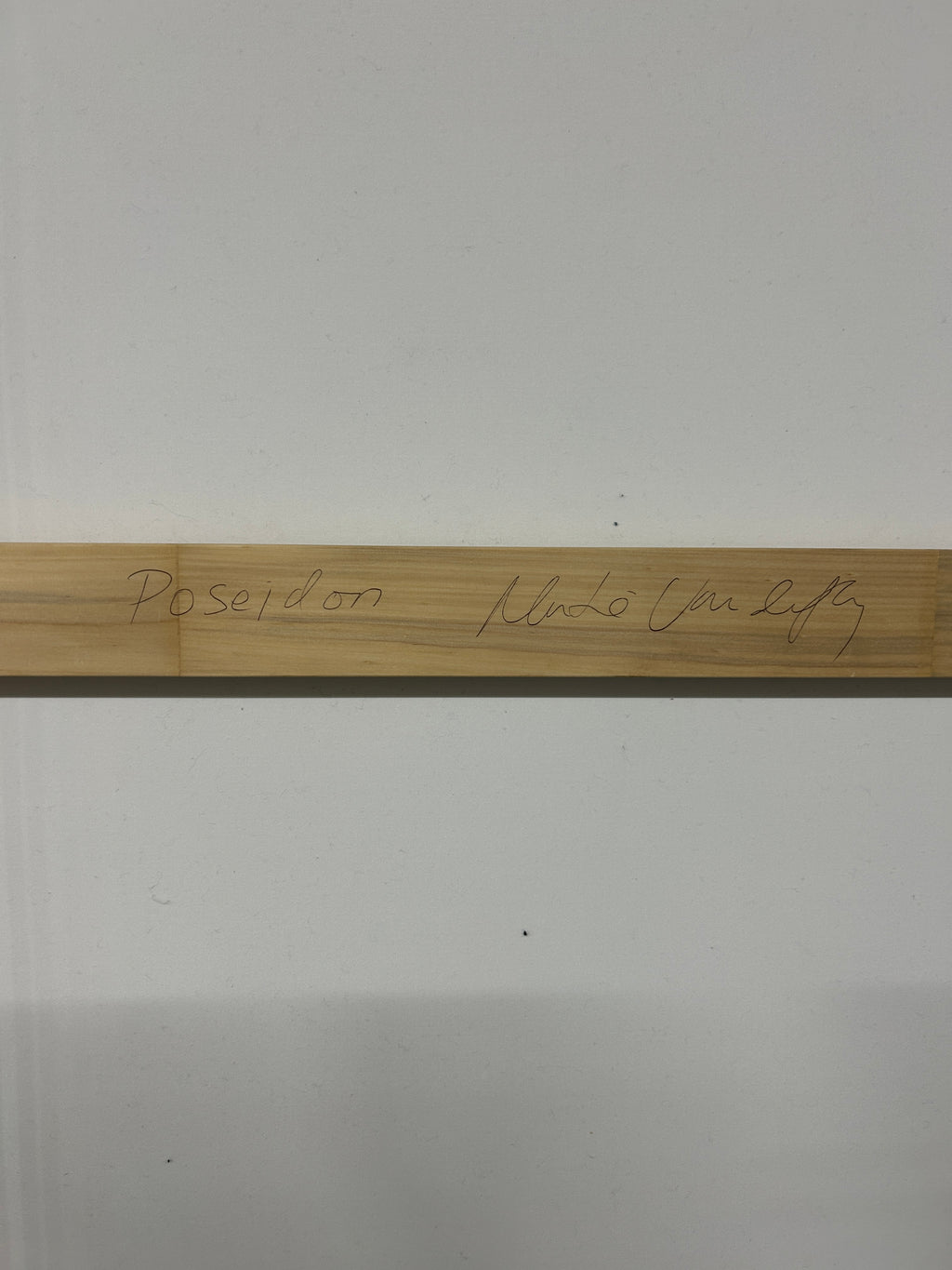 Poseidon I and II Framed Resin Artwork