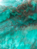 Reef View II Framed Resin Artwork