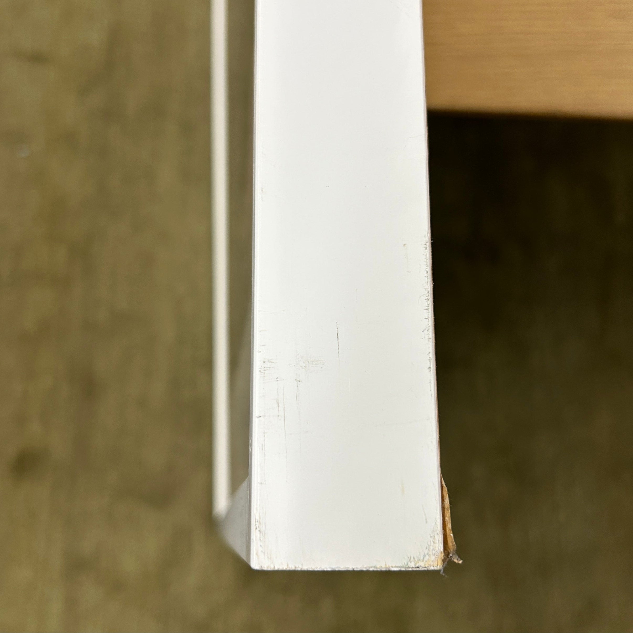 Contemporary Botanical – Floral and Ink