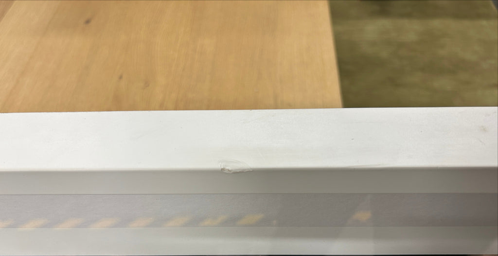 Contemporary Botanical – Floral and Ink