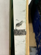 Turkish Delight Original Painting