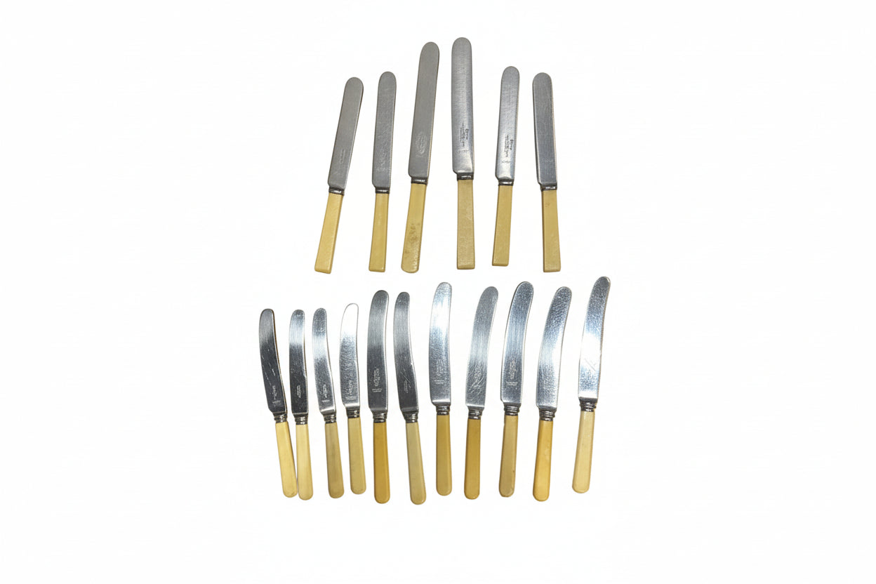 Vintage Bone Handled Knife