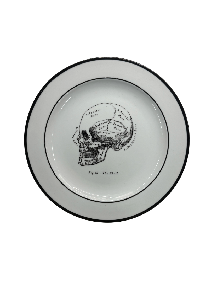 Lost & Found, Skull Plate